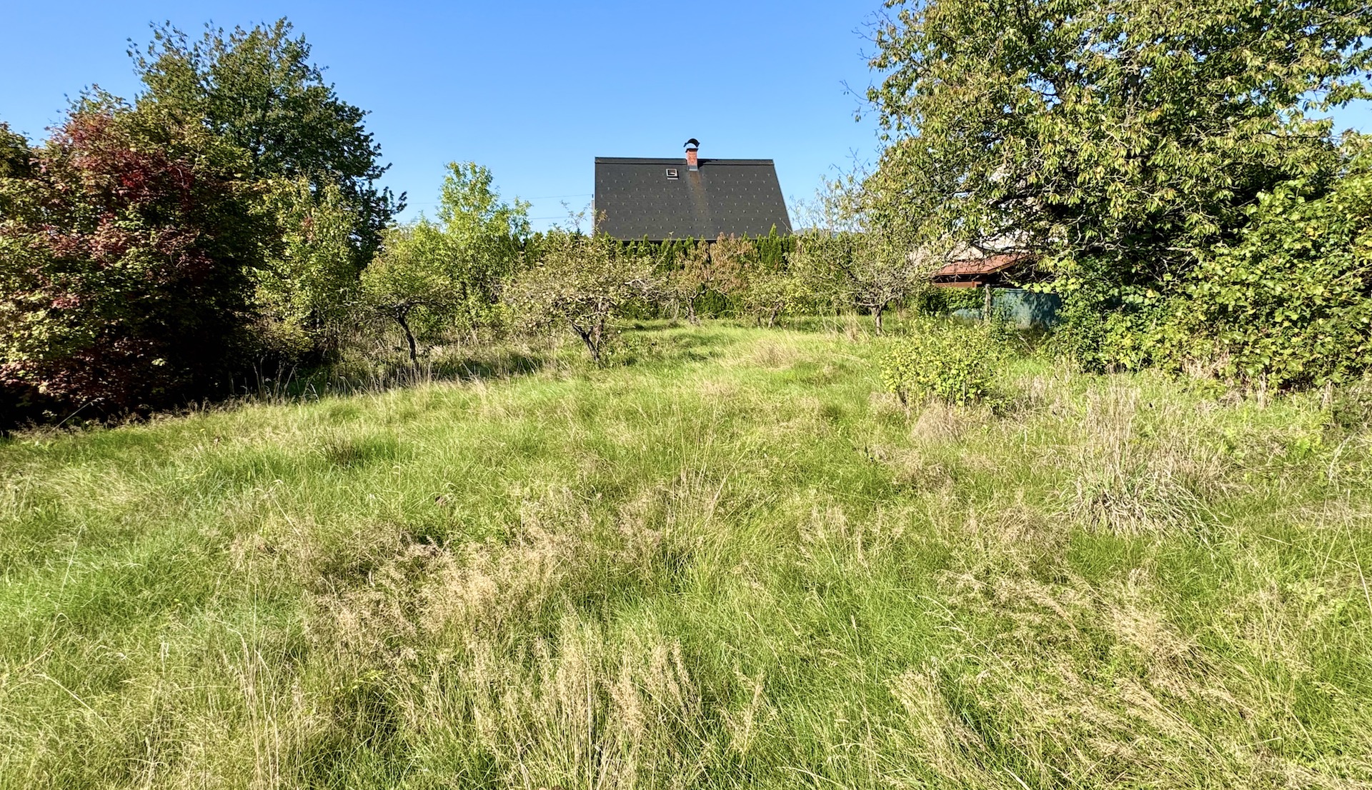 bz-immobilien